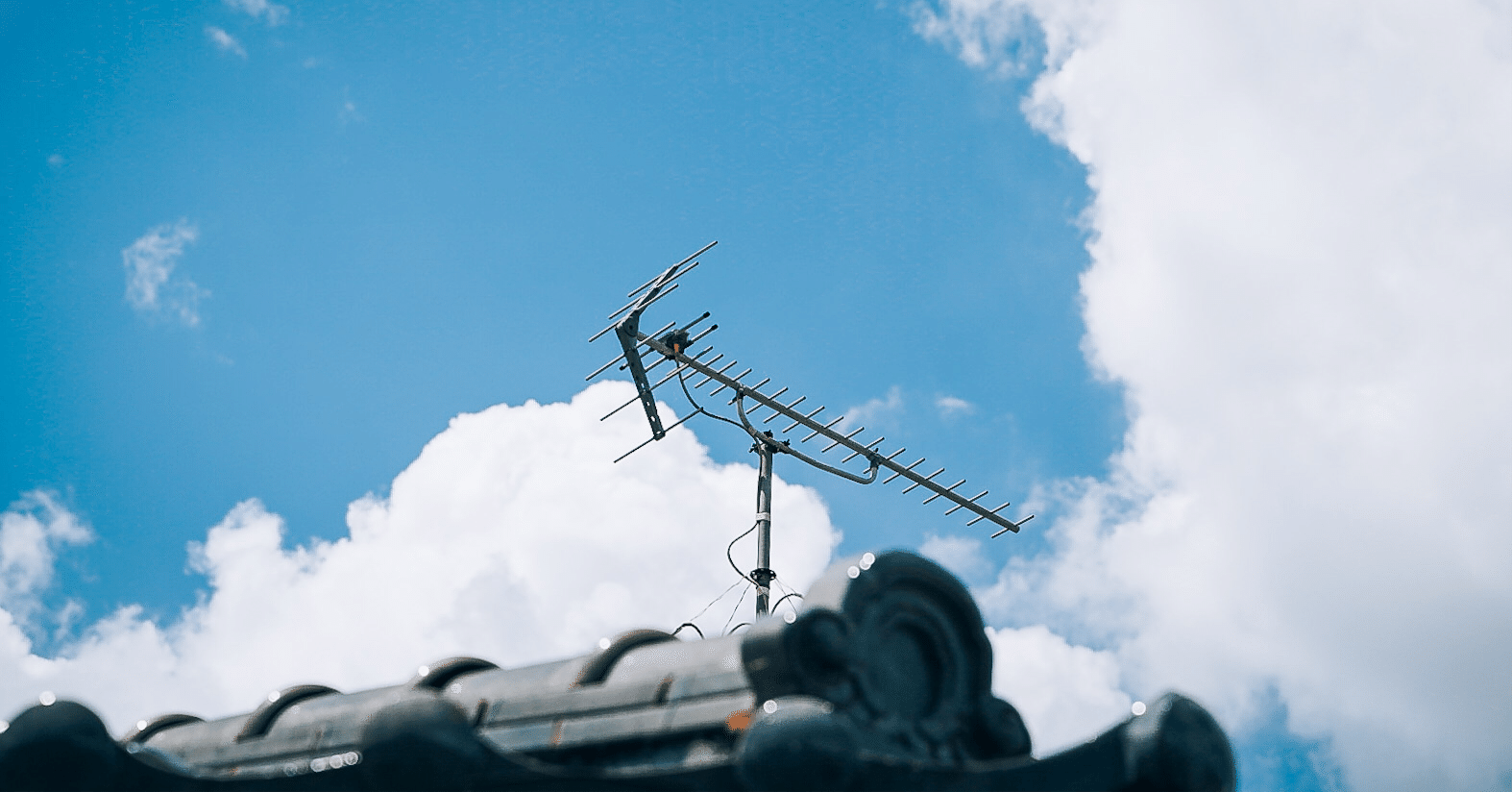 AI、コミュニティ、(de)centralization… 『サマーウォーズ』が今観ても最高だった｜うにぽん