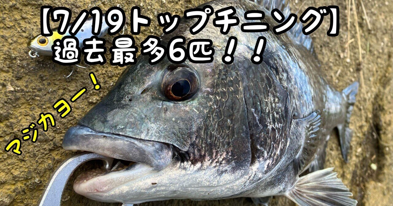 コラム】2023トップチニング振り返り（総集編）｜ぐっちあっきー