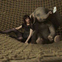 グリズリーマン（ヴェルナー・ヘルツォーク）✶映画日記｜翠星倶楽部｜note