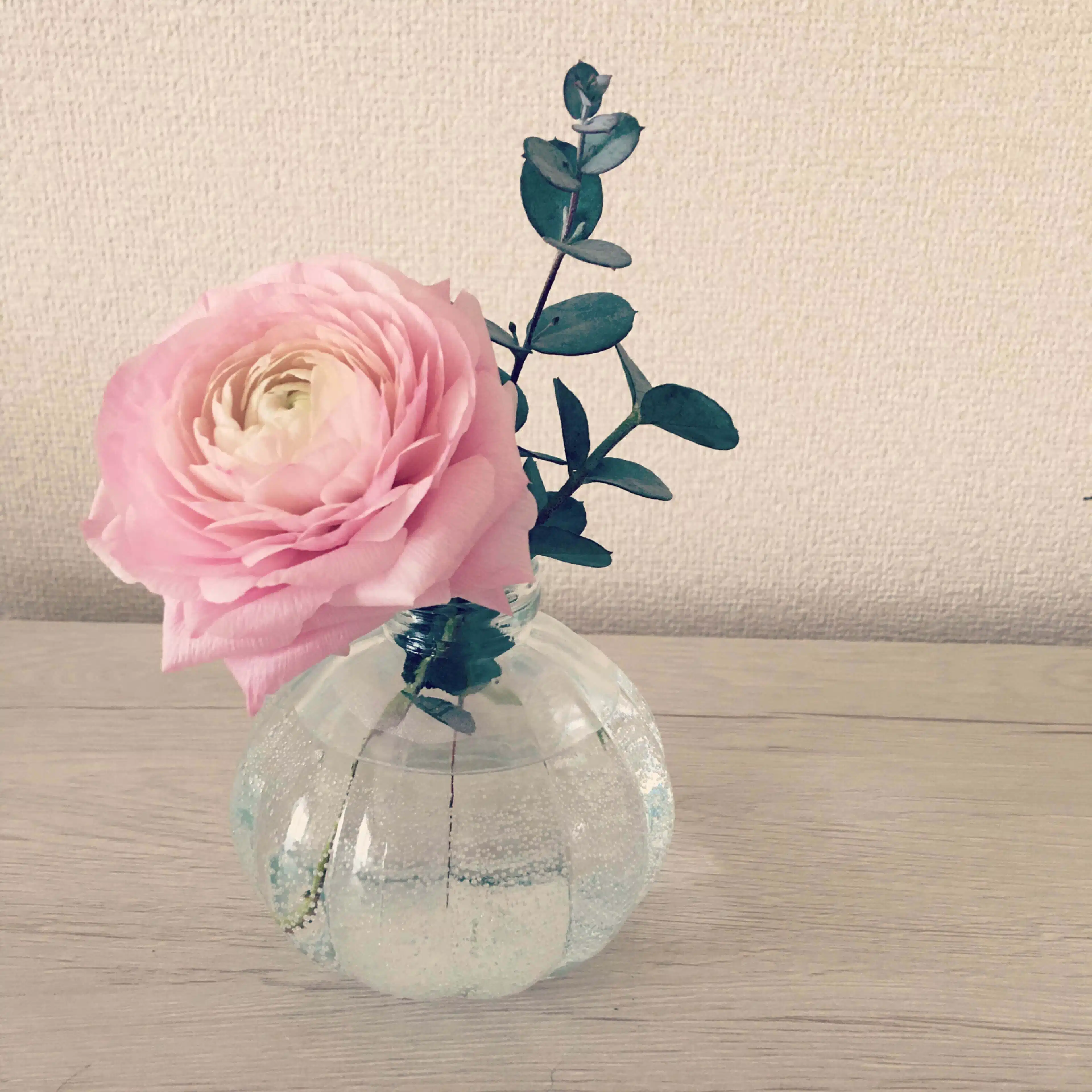 mabury🌷growth
