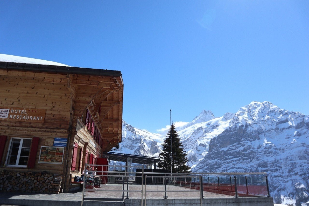 スイス-グリンデルワルト編-ハイジの世界で絶景ハイキング｜sakura