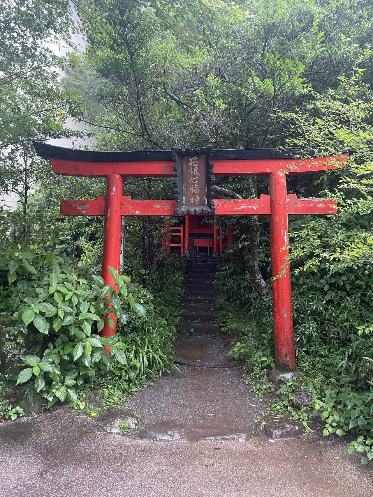 新品　DVD　自然の中の神々5　箱根神社　鶴岡八幡宮◆◆送料無料●● 新品】鶴岡八幡宮 交通安全御守 - メルカリ