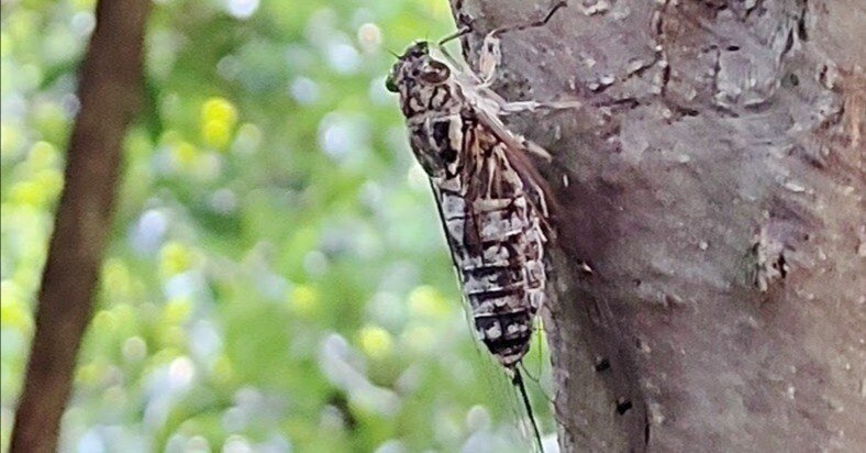 74071ccbf7c1eca26b0dc5c58151c3