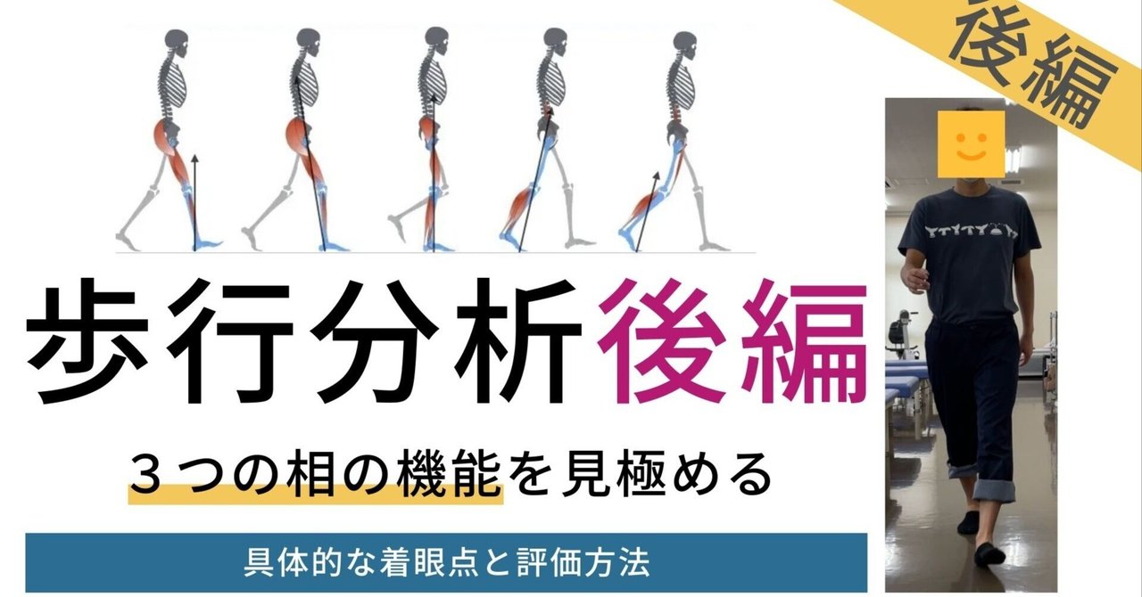歩行分析 機能的課題と印象 後編｜理学療法メモ