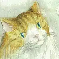 賀茂史女/かものふひとのむすめ