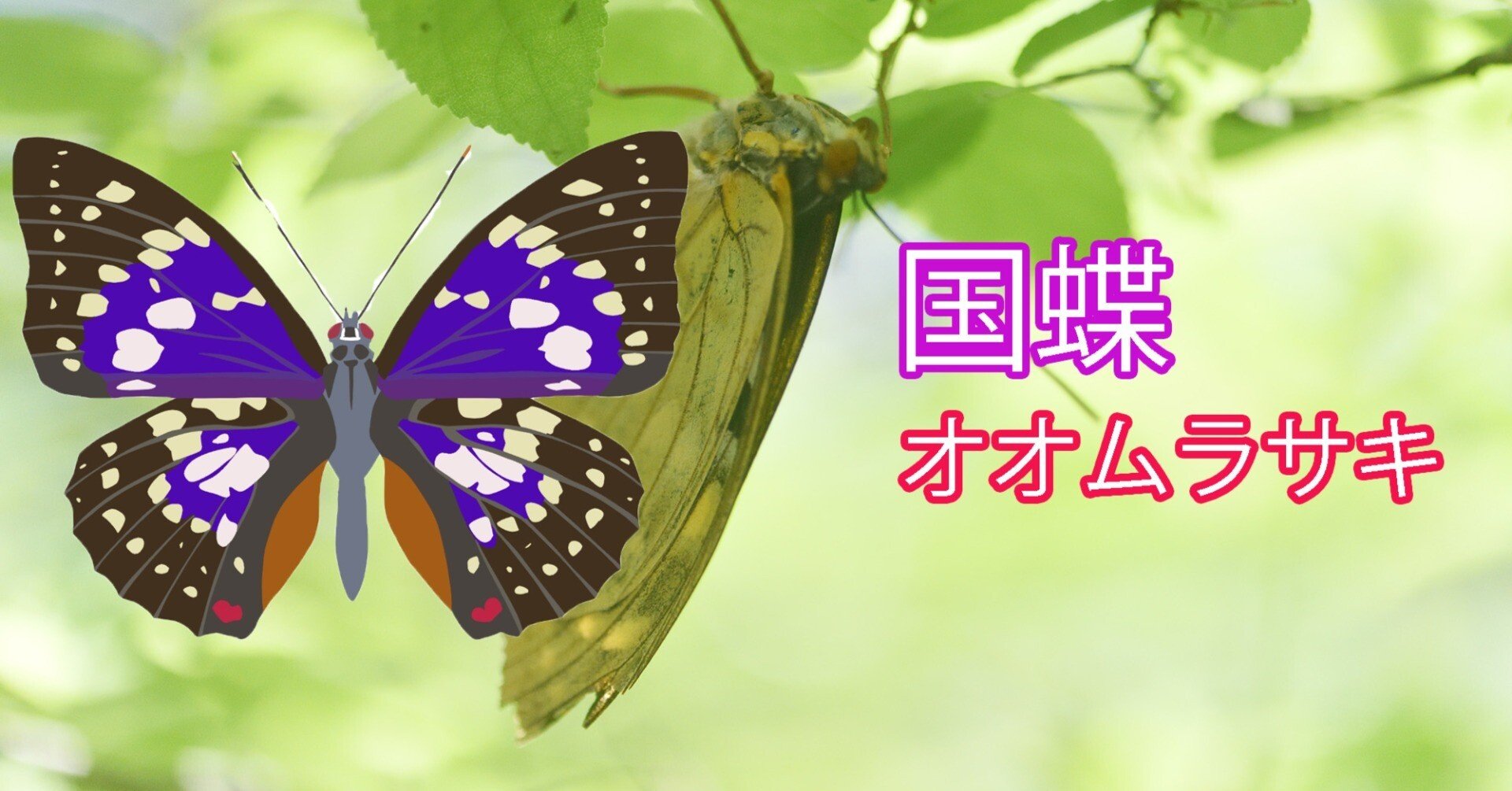 dea8d853317c0780beffa249c05bd9