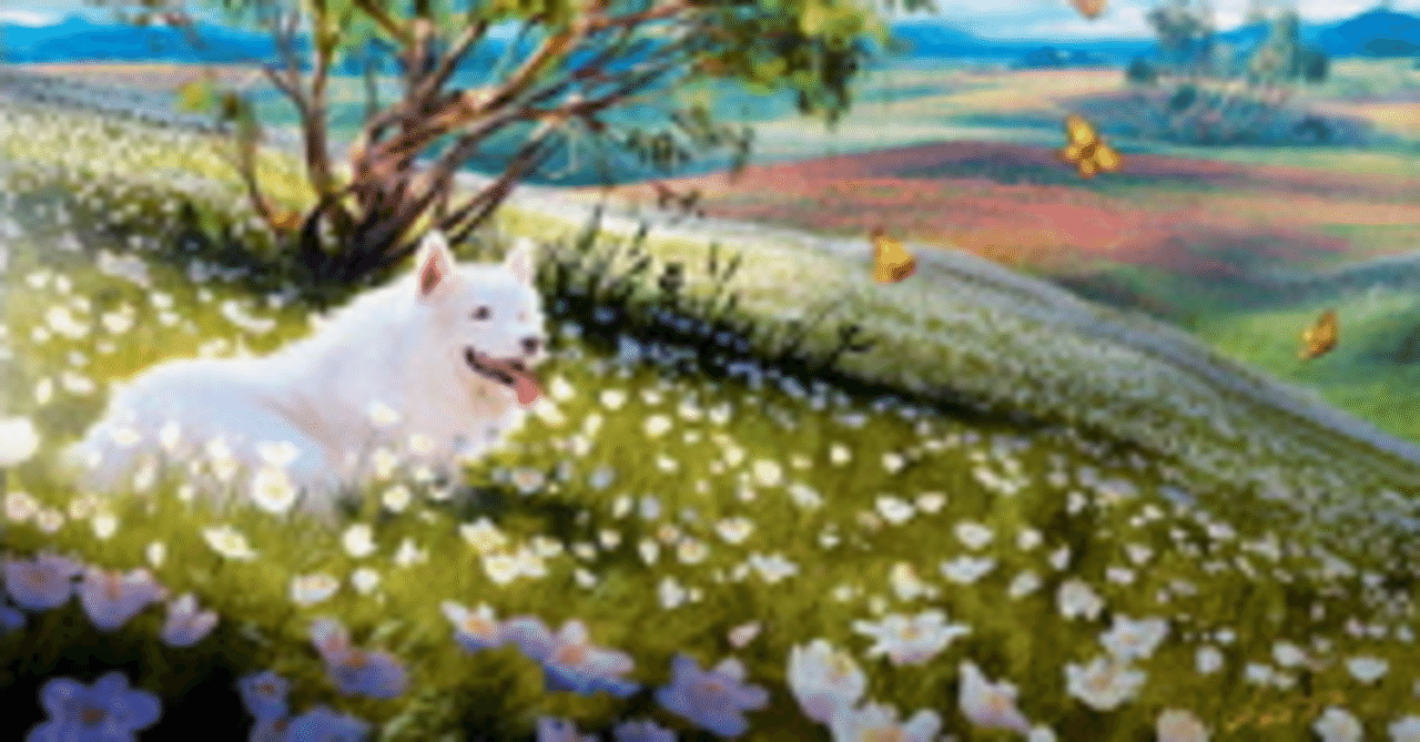 MTG:パイオニア 白単人間 攻略ガイド｜カモリキ