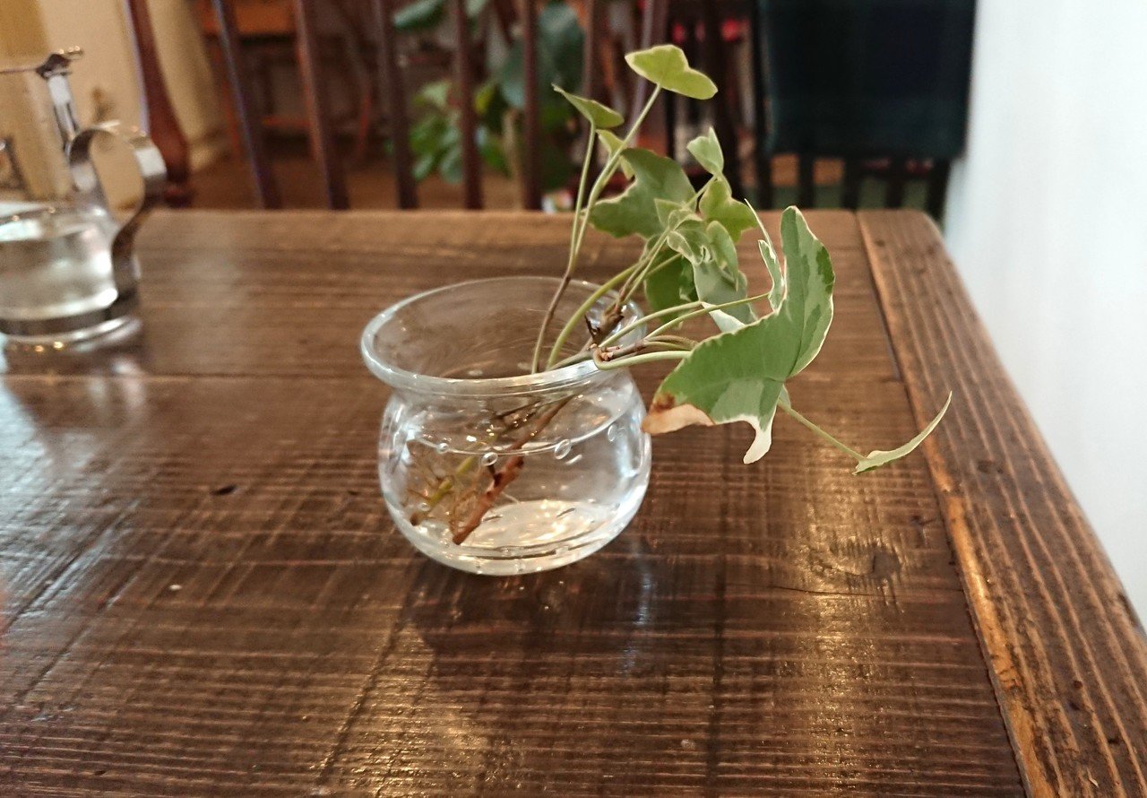 ー ふるカフェ系ハルさんの休日から学ぶ 古民家カフェの魅力 ー Takei Mikl Note