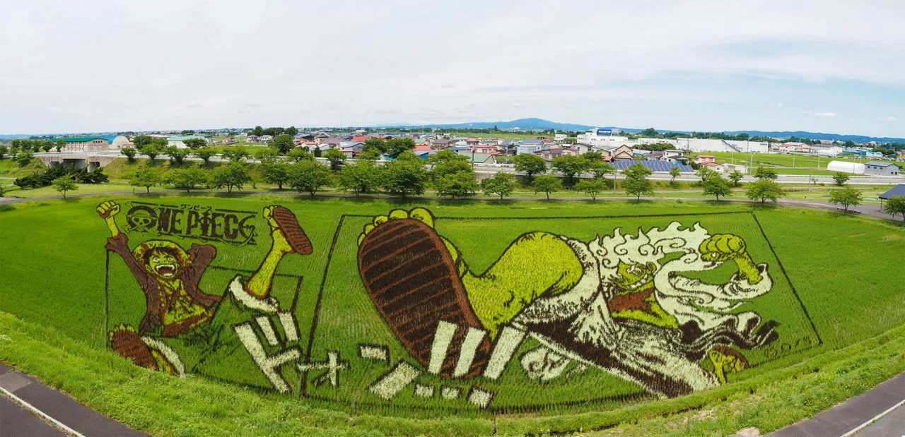 田舎館村の田んぼアート、何でどう撮るか？一眼カメラ、スマホ、360