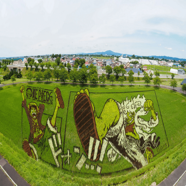 田舎館村の田んぼアート、何でどう撮るか？一眼カメラ、スマホ、360