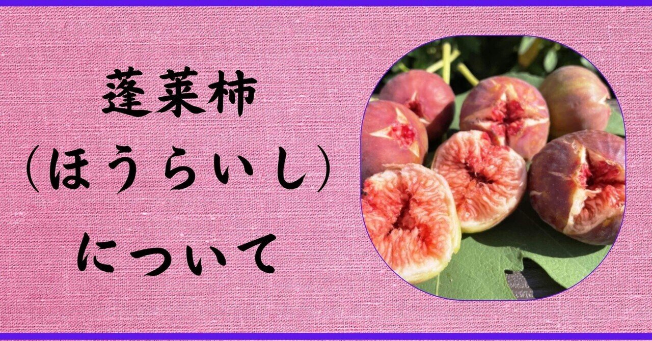 蓬莱柿（ほうらいし）について｜うまうまもぐもぐ