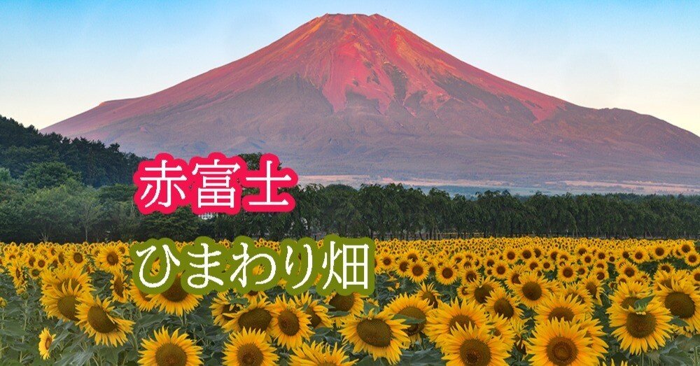 b34443dc44282ab8c21d4cd2d2e778