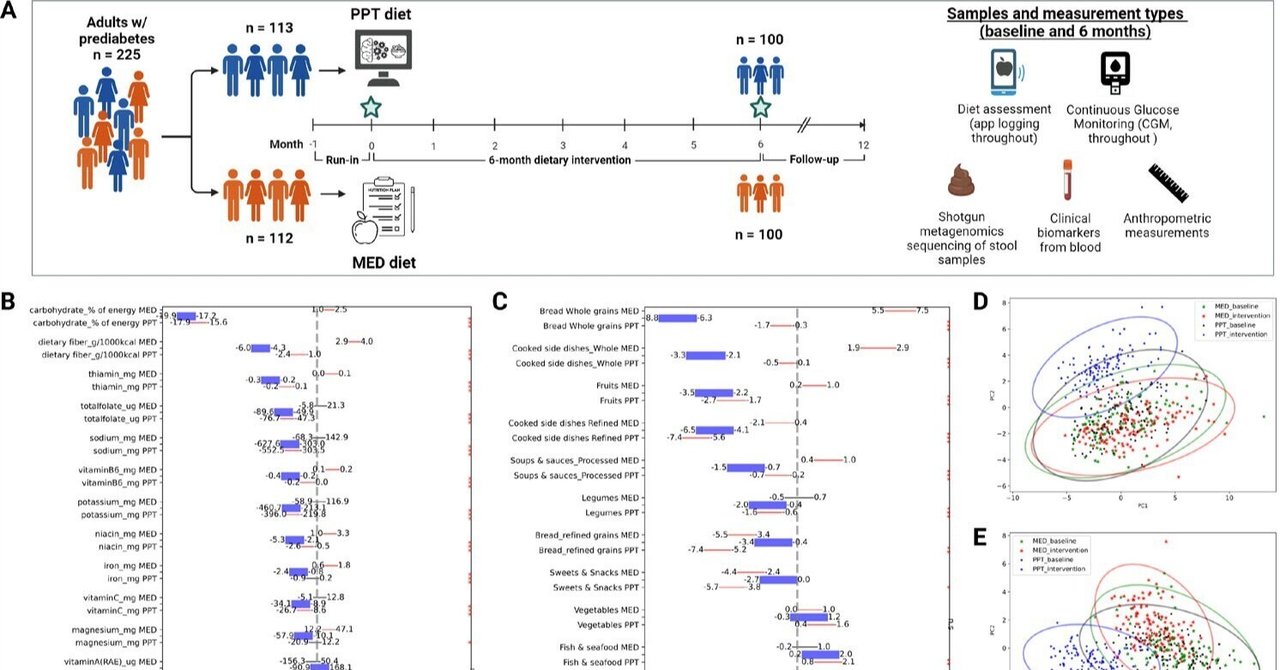 ランダム血漿グルコース (RPG) 検査
