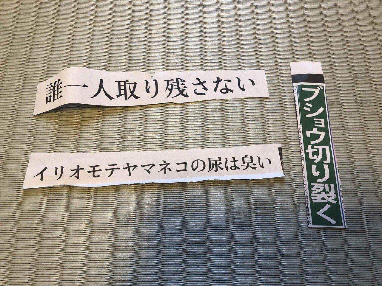 スターウォーズ 新聞紙切り抜き STAR WARS スター・ウォーズ 日本公開時の新聞広告切り抜き