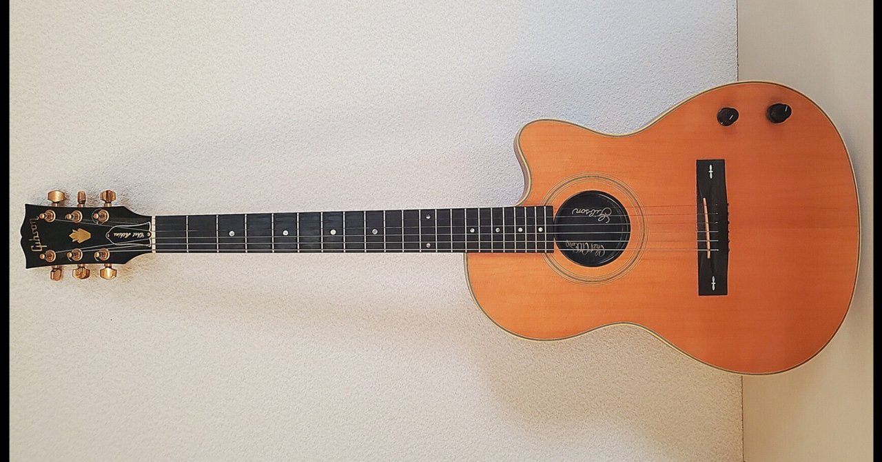 Gibson Chet Atkins SST|月の裏側 Gibson Chet Atkins SST|月の裏側