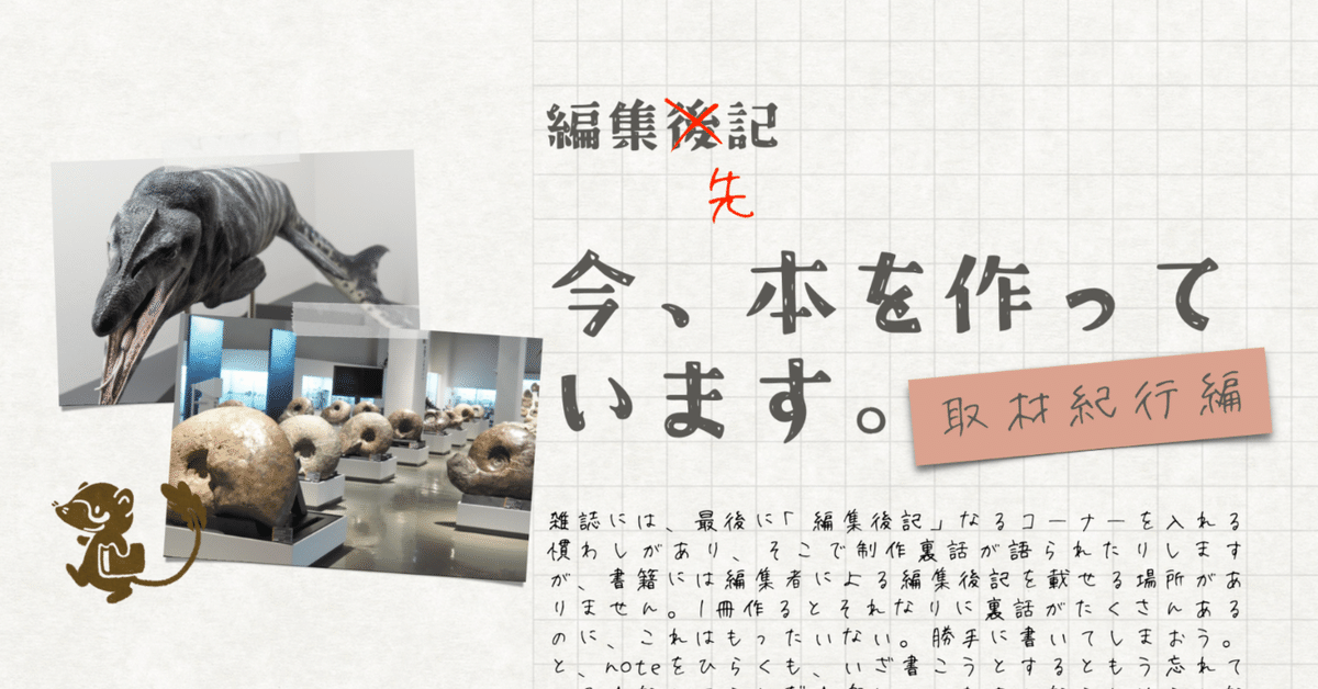 一時受付停止 大幅値下 博物館級 気軽に質問、交渉を！巨大なアンモナイト化石1/4 中はパワーストーンのカルサイト - ガーデニング