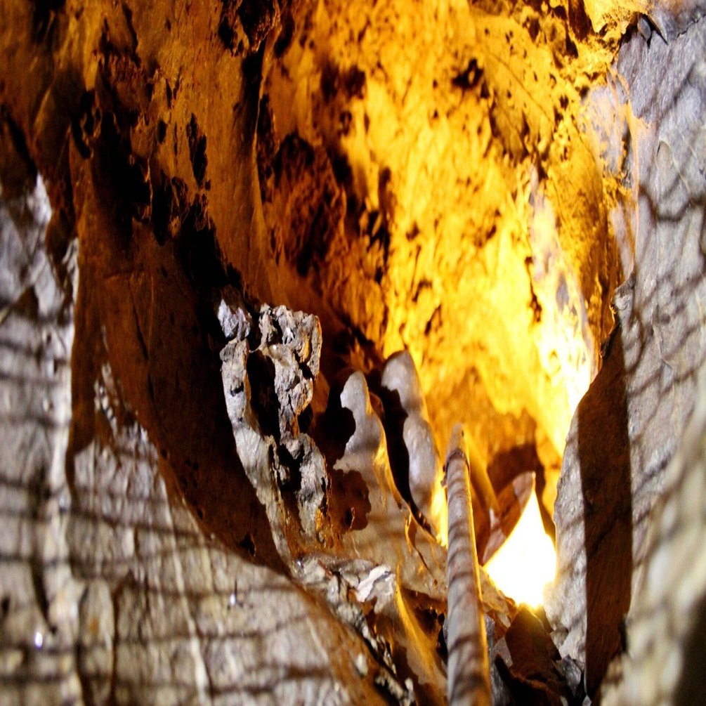 家族で守る自然の造形美『三ツ合鍾乳洞』〜緑あふれる山間で自然を満喫