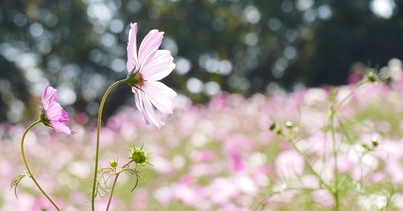 日常：振られたネタに対する瞬発力もトレーニングのうち