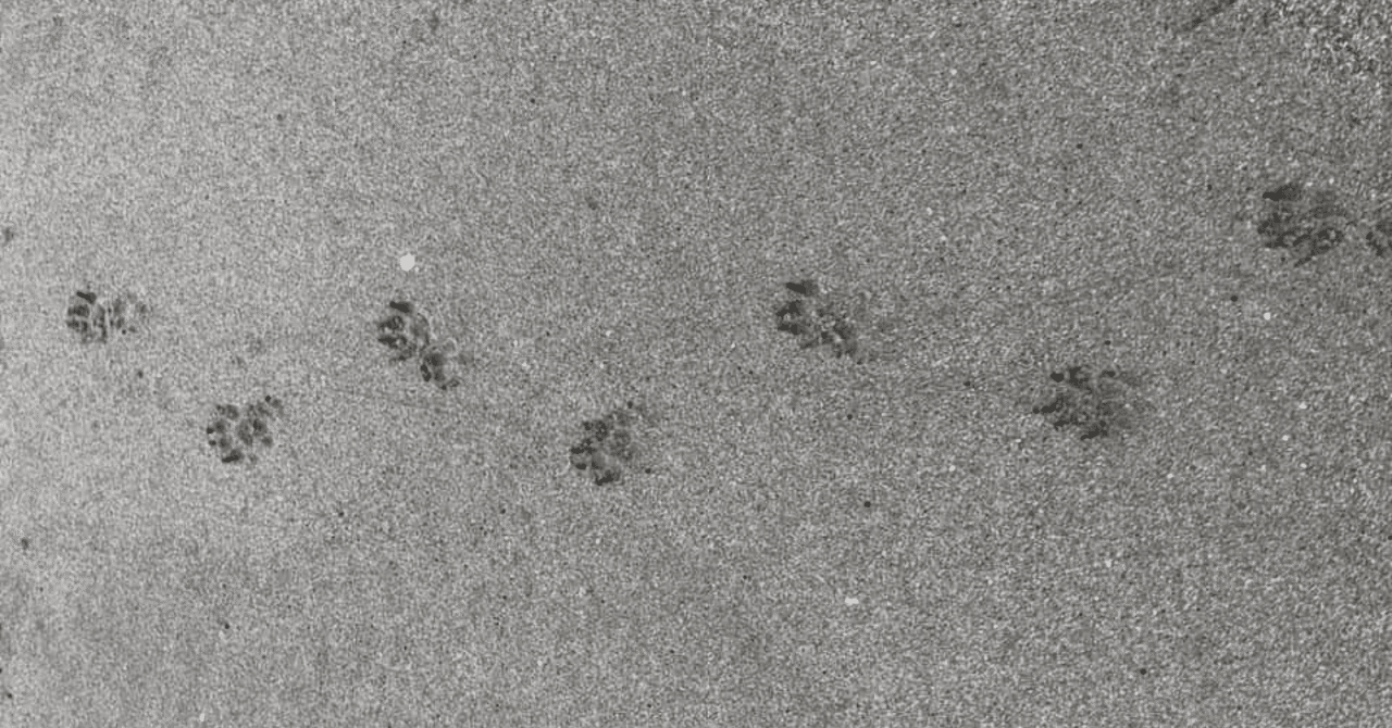 noteのデザイナーを卒業します。