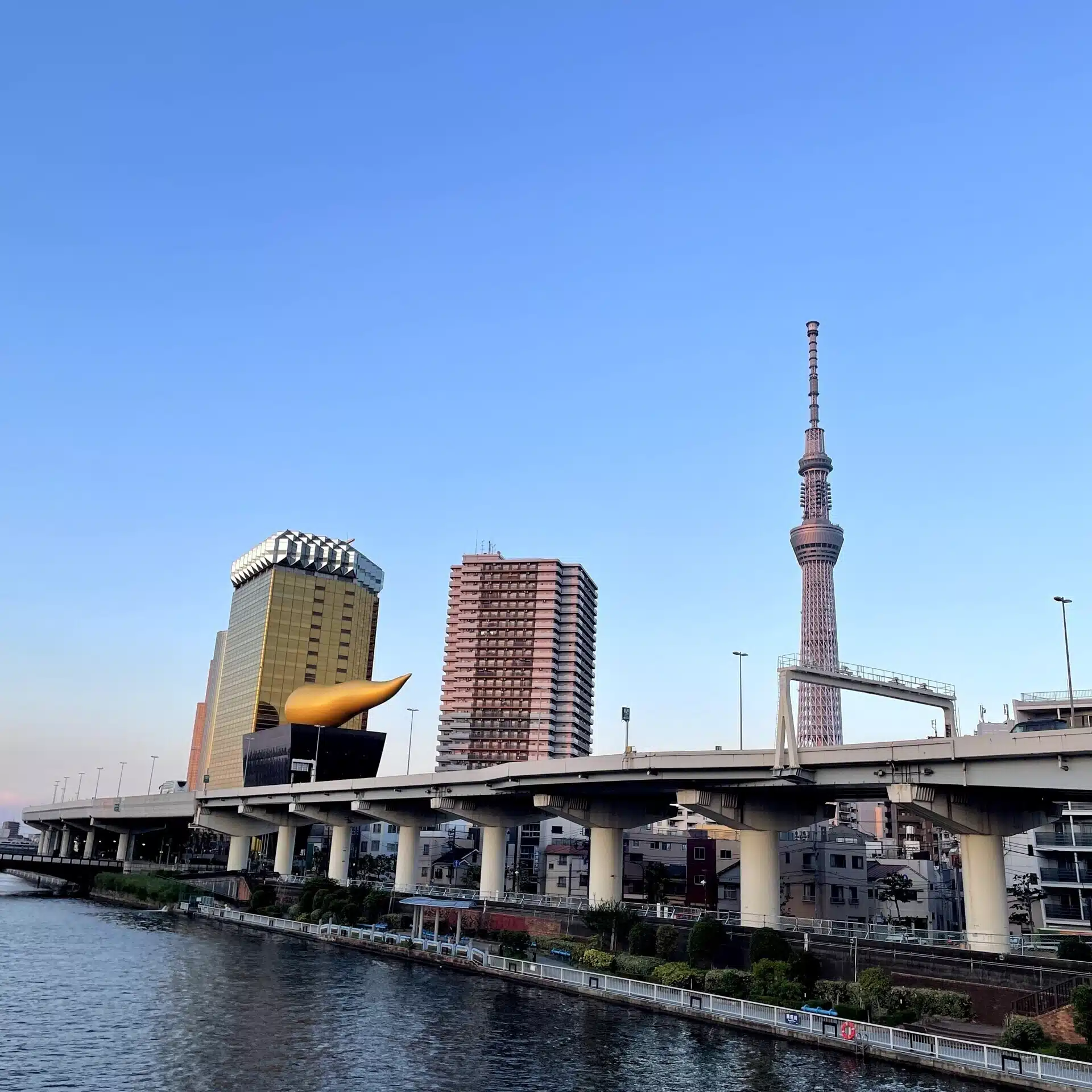コタ