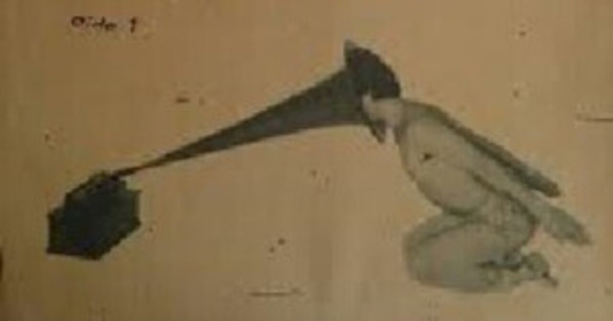 嘉門雄三 & VICTOR WHEELS LIVE !｜YU-SUKE O-SHITA