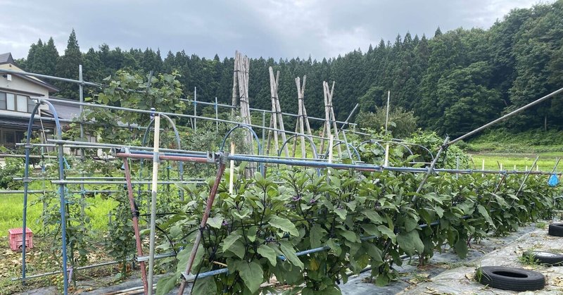 山へ免許を取りに行く②