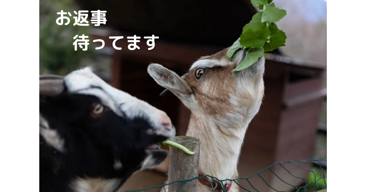 相手の返事待ち」専用のリスト／公務員のタスク管理術｜とくまる 
