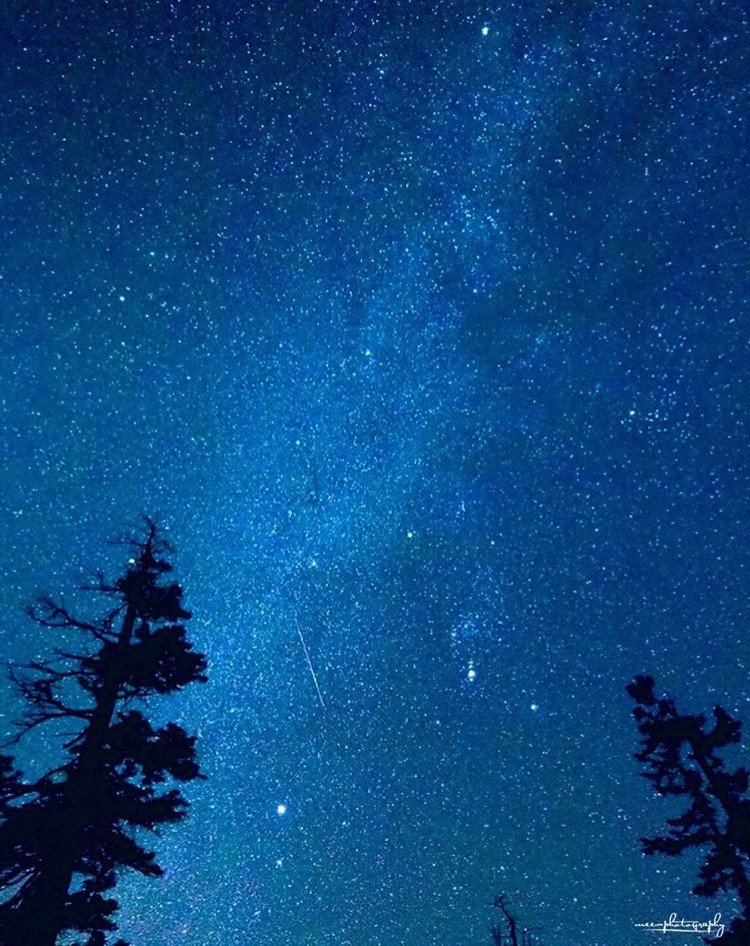 山から見上げた空は宝石のように輝く星ばかり

#星 #空 #山 #自然 #星空 #カメラ #写真 #キャンプ #camp #nature #mountain #starrysky #star #sky #camera #photo #photography