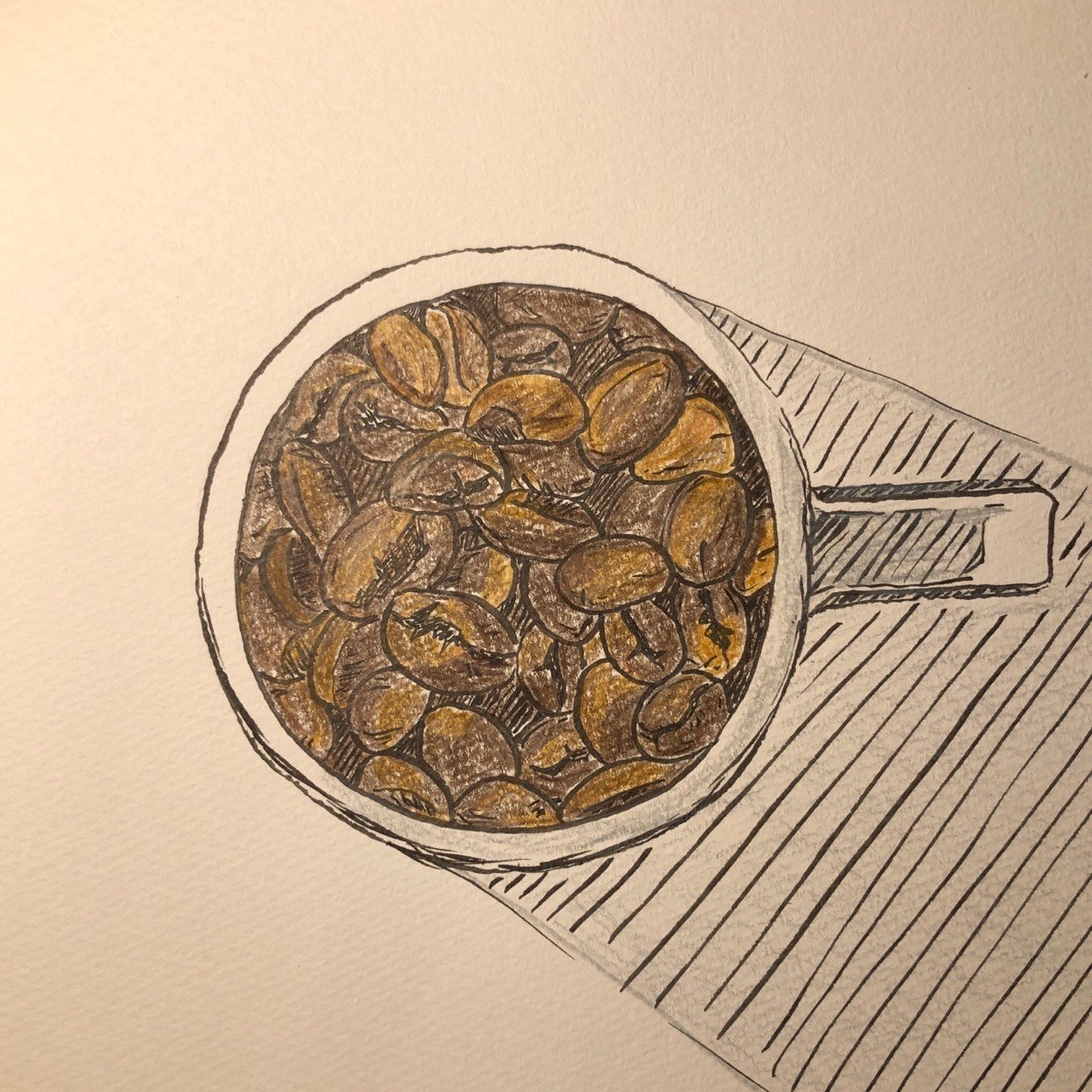 コーヒー豆 あだちゆうと Note コーヒー豆 あだちゆうと Note