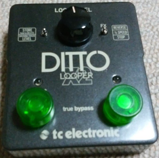 Amazon.com: TC Electronic DITTO X2 LOOPER Highly Intuitive