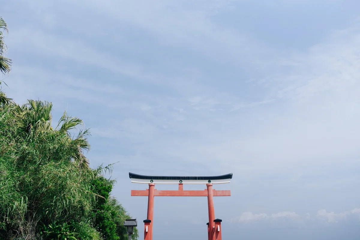 画像