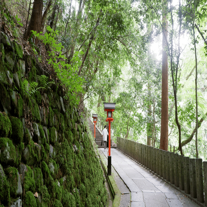 京都 鞍馬寺と貴船神社②｜arie