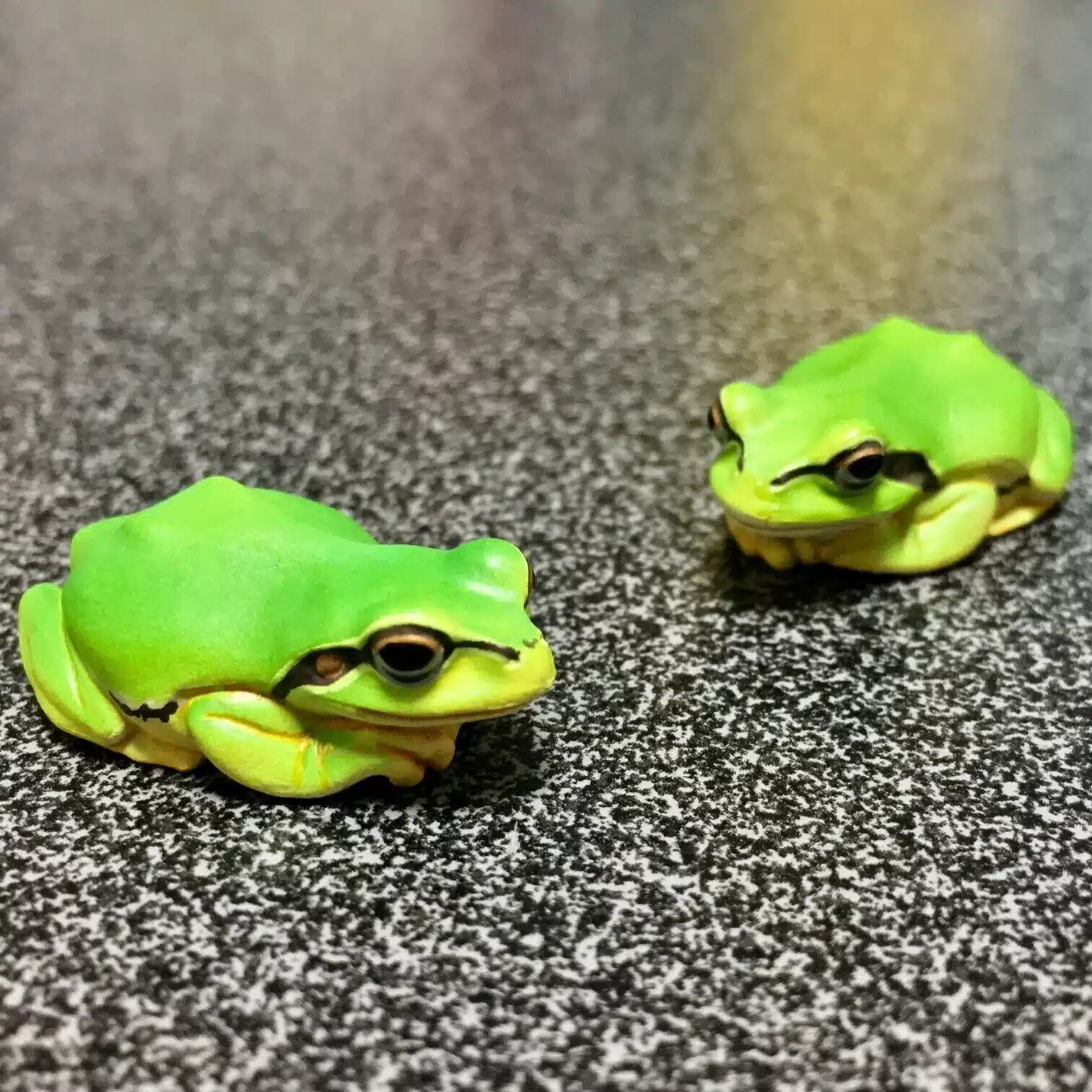 かっしー