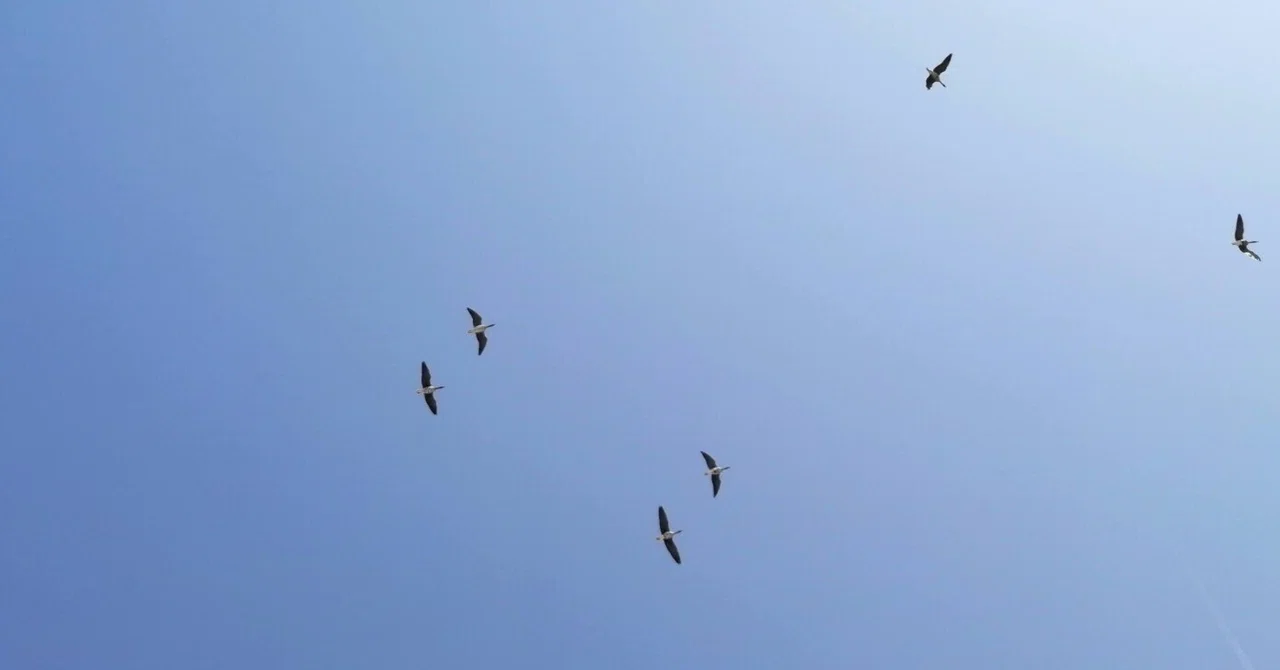 空をうつす｜ミカミアカネ