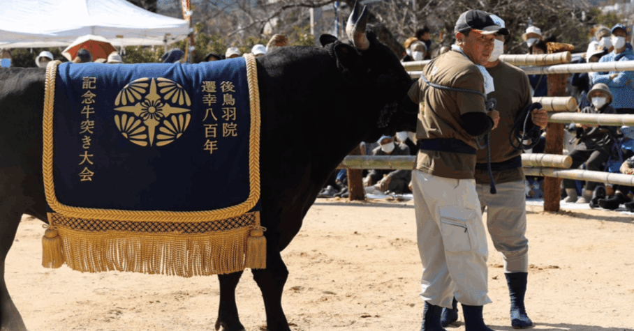 令和4年度 後鳥羽院遷幸800年アーカイブ｜ないものはない 海士