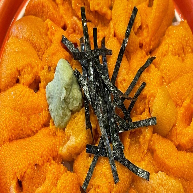 一度は食べないと損⁉6500円のウニ丼！礼文・利尻島旅行【北海道