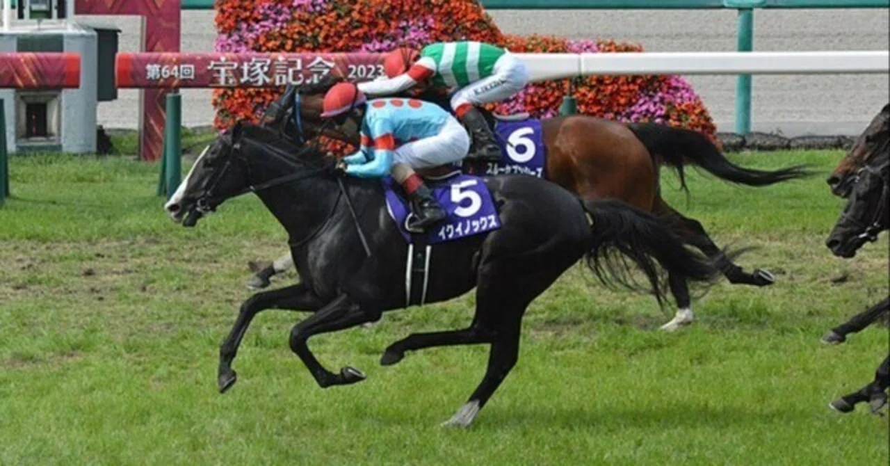 イクイノックス 宝塚記念2023年 単勝 現地馬券 JRA 競馬 スポーツ