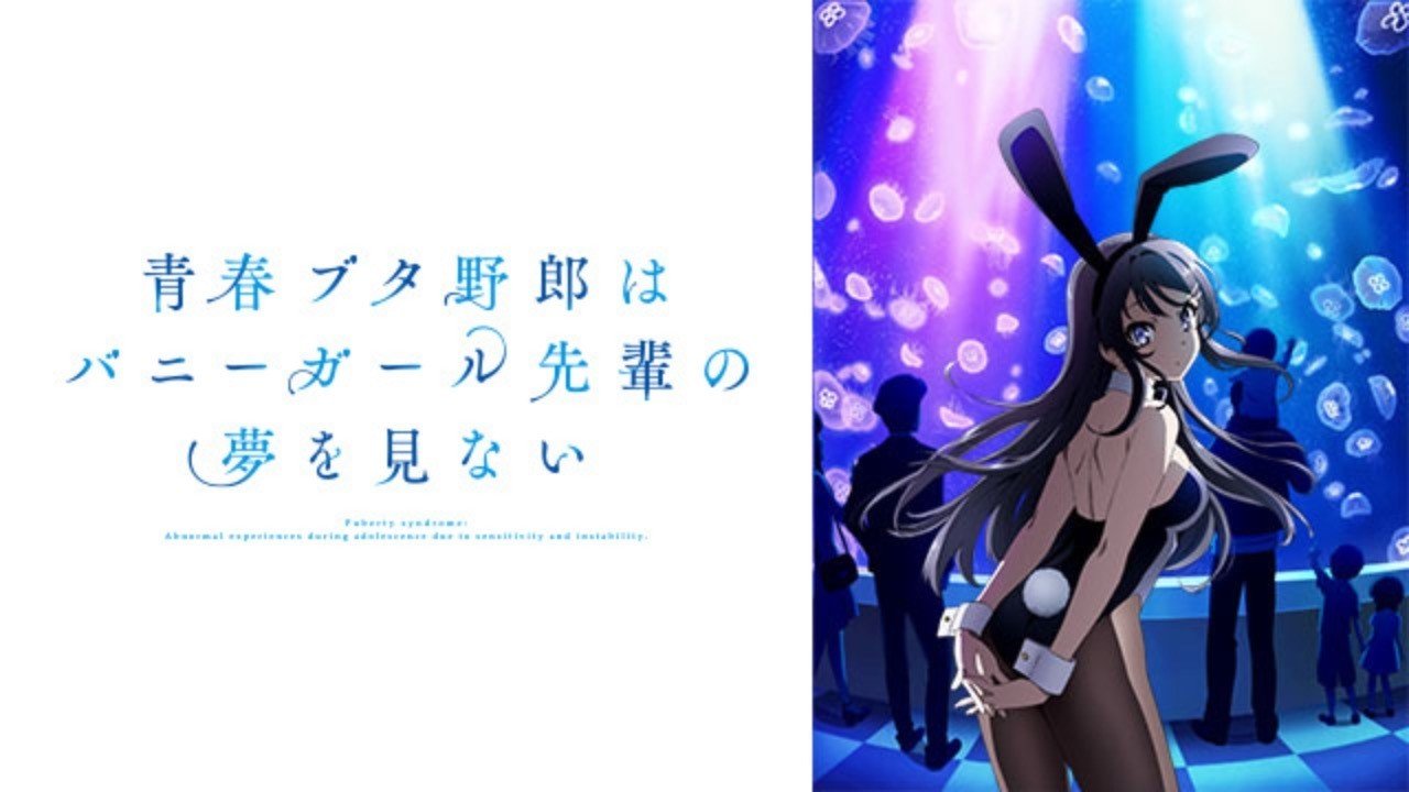 2761b258616ab25fee4c51c6993388