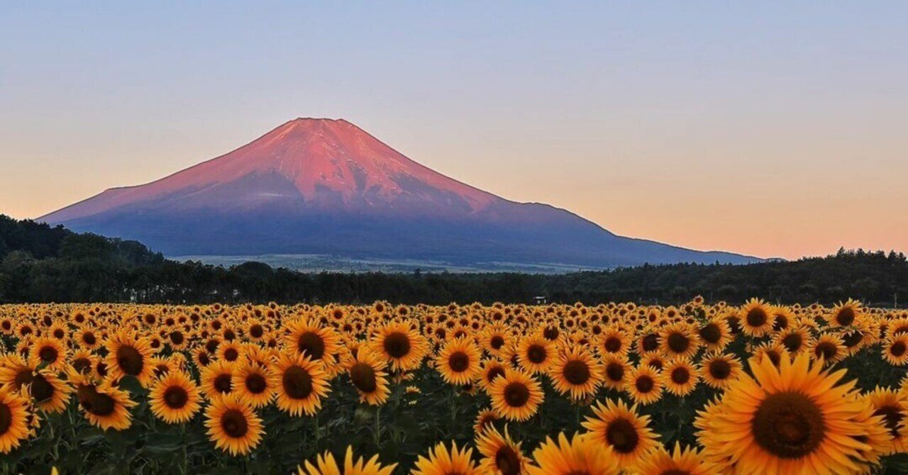 夏の富士山 ｜Nakaiko13