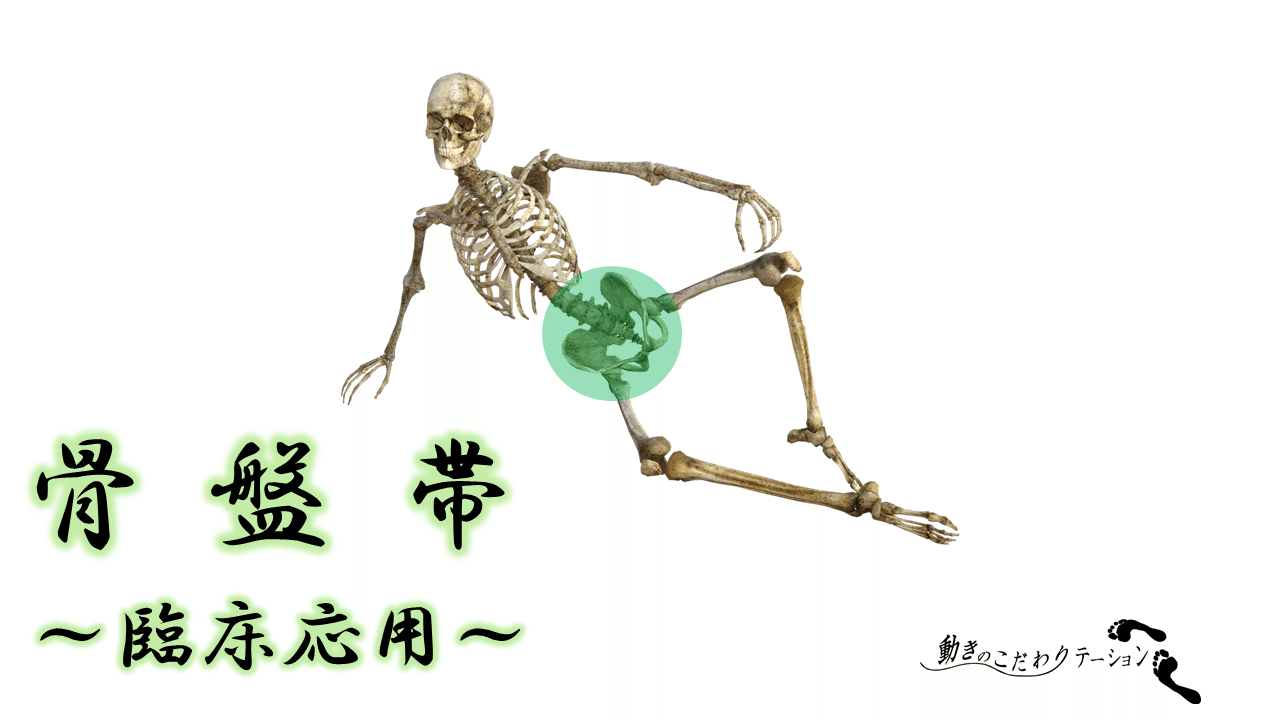 骨盤帯～臨床応用～｜土屋元明のからだ改善チャンネル