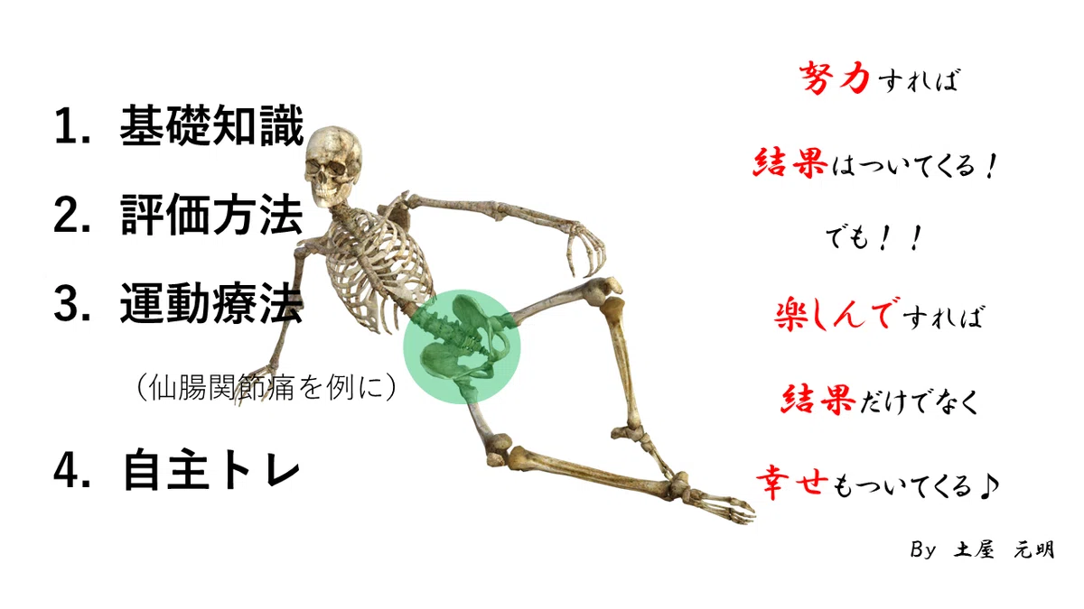骨模型（高さ約176cm（土台含む）） 申しあげ