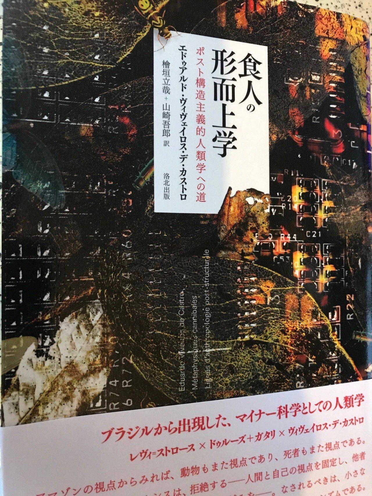 概念の境界を折りたたみ続けるー読書メモ ヴィヴェイロス デ カストロ 食人の形而上学 2 Way Finding Note