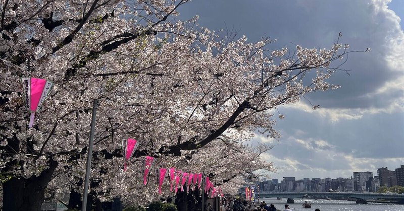 桜橋