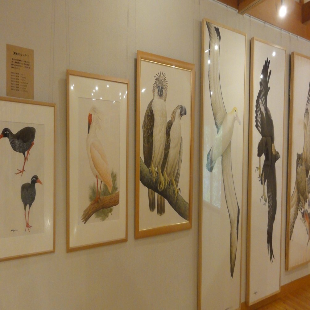薮内正幸美術館】日本唯一の動物画専門美術館、「サントリー愛鳥広告の