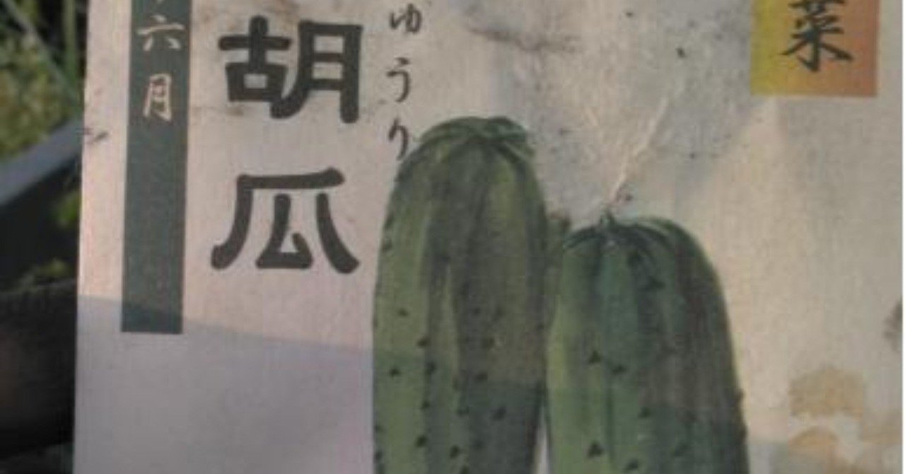 オクラ エンサイ モロヘイヤの発芽 好きな事をしながら生きる 豊かさ千倍時代と半農生活 野菜栽培レッスンプロが綴る Note オクラ エンサイ モロヘイヤの発芽 好きな事をしながら生きる 豊かさ千倍時代と半農生活 野菜栽培レッスンプロが綴る Note