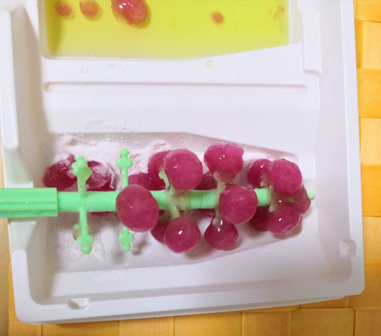 なるなるグミの実 知育菓子 Gelate ジェレイト Note なるなるグミの実 知育菓子 Gelate ジェレイト Note
