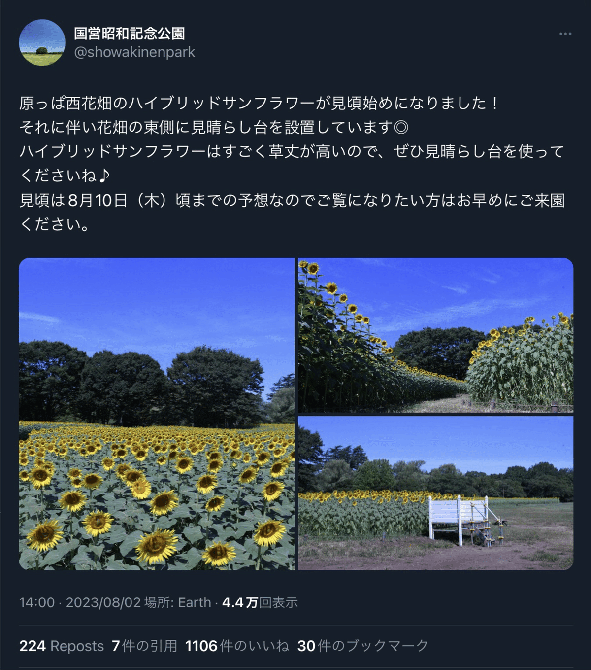 近畿日本ツーリスト ひまわりツアー 旅の宝石箱 募集パンフレット 平成初期 近畿日本ツーリスト ひまわりツアー 旅の宝石箱 募集