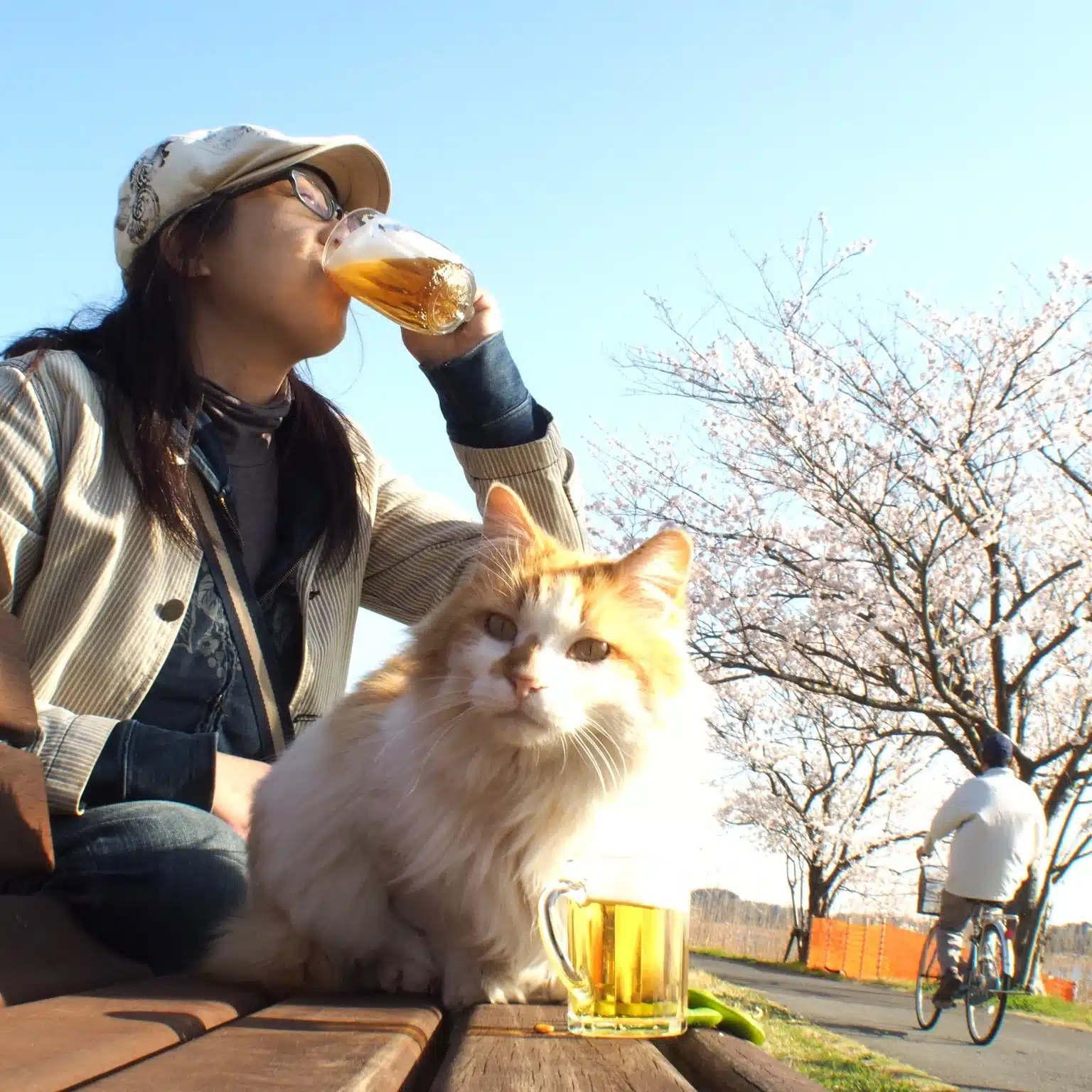 猫写真家 中山祥代