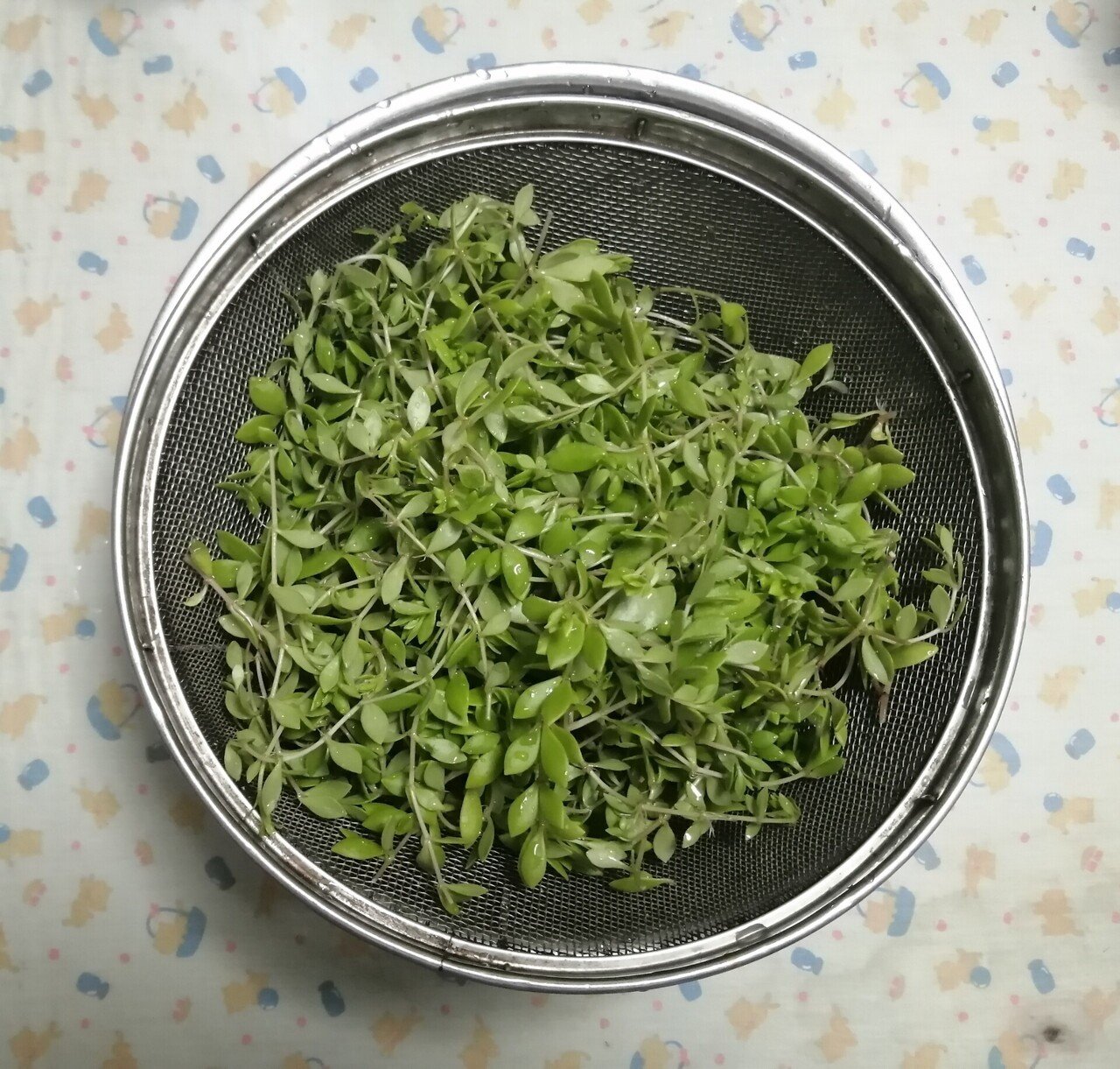 コチュジャン蜂蜜漬けエビ串のレシピ