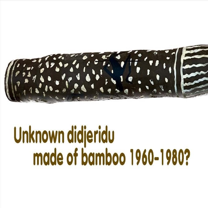 希少 オーストラリア製 ディジュリドゥ ユーカリ Amazon | ハンドメイドDidgeridoo ユーカリ(50インチ